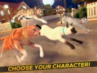 Cкриншот Running Cats - Survive The Free Kitty Cat Simulator, изображение № 1762187 - RAWG