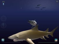 Cкриншот Shark Eaters: Rise of the Dolphins, изображение № 4683 - RAWG