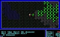 Cкриншот Ultima 1+2+3, изображение № 220525 - RAWG