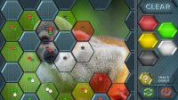 Cкриншот HexLogic - Zoo, изображение № 1529532 - RAWG