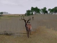 Cкриншот Deer Hunter 2004, изображение № 356757 - RAWG