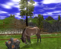 Cкриншот Wildlife Park 2: Horses, изображение № 493900 - RAWG