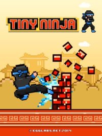 Cкриншот Tiny Ninja Fighter - Play 8-bit Pixel Retro Fighting Games for Free, изображение № 1711059 - RAWG