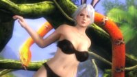 Cкриншот Dead or Alive 5, изображение № 584941 - RAWG