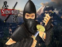 Cкриншот Shinobidu: Ninja Assassin HD, изображение № 1717205 - RAWG