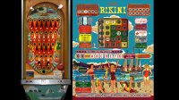 Cкриншот Bingo Pinball Gameroom, изображение № 3562718 - RAWG