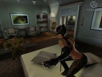 Cкриншот Catwoman, изображение № 392814 - RAWG