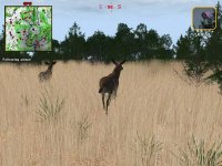 Cкриншот Deer Hunter 2004, изображение № 356752 - RAWG