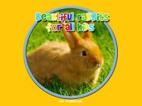 Cкриншот beautiful rabbits for all kids - free game, изображение № 1866779 - RAWG