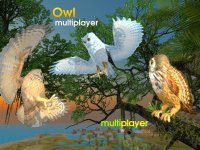 Cкриншот Owl Multiplayer, изображение № 2710203 - RAWG