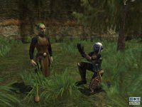 Cкриншот EverQuest II, изображение № 360672 - RAWG