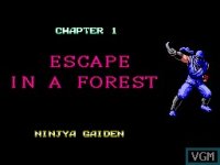 Cкриншот Ninja Gaiden (Master System), изображение № 2149692 - RAWG