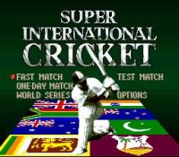 Cкриншот Super International Cricket, изображение № 762851 - RAWG