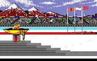 Cкриншот Winter Games (2009), изображение № 727810 - RAWG