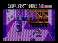 Cкриншот Ninja Gaiden (1988), изображение № 259455 - RAWG