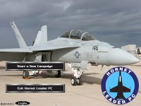 Cкриншот Hornet Leader, изображение № 482016 - RAWG