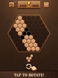 Cкриншот Wooden Hexagon Fit: Hexa Block, изображение № 903116 - RAWG