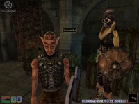 Cкриншот The Elder Scrolls III: Morrowind, изображение № 290021 - RAWG