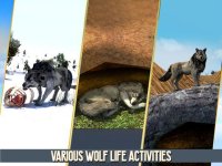 Cкриншот Scary Wolf Online, изображение № 2037294 - RAWG