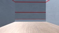 Cкриншот Squash 3-D, изображение № 3183307 - RAWG