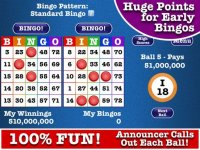 Cкриншот Totally Bingo! by Boy Howdy, изображение № 888741 - RAWG