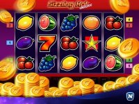 Cкриншот Sizzling Hot Deluxe Slot, изображение № 1928294 - RAWG