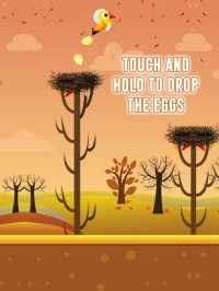 Cкриншот Drop In Nest, изображение № 1776628 - RAWG