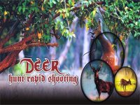 Cкриншот Deer Hunt Rapid Shooting, изображение № 1603499 - RAWG