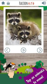 Cкриншот Kids Zoo Game: Preschool, изображение № 1586127 - RAWG