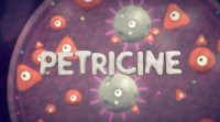 Cкриншот Petricine, изображение № 1034204 - RAWG