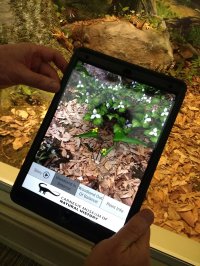 Cкриншот The AR Perpetual Garden Apps, изображение № 2385476 - RAWG