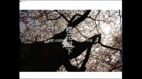 Cкриншот Beneath The Cherry Trees / 桜の樹の下には, изображение № 130188 - RAWG