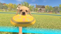 Cкриншот Dream Pet VR, изображение № 694305 - RAWG