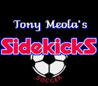 Cкриншот Tony Meola's Sidekicks Soccer, изображение № 763116 - RAWG