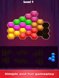 Cкриншот Block Hexagon 1010 Fun, изображение № 1885671 - RAWG