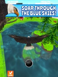 Cкриншот Virtual Pet Eagle, изображение № 956931 - RAWG