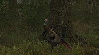 Cкриншот Wild Turkey Hunter, изображение № 719343 - RAWG