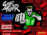 Cкриншот Street Fighter (1987), изображение № 745506 - RAWG