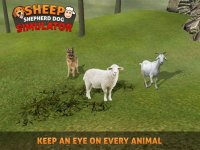 Cкриншот Sheep Dog: Trained Herding Dog Simulator, изображение № 1780219 - RAWG