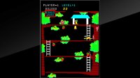 Cкриншот Arcade Archives Kangaroo, изображение № 2450729 - RAWG