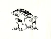 Cкриншот Magical Mushrooms, изображение № 3411356 - RAWG