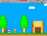 Cкриншот Wonder Boy in Monster Land (1987), изображение № 745612 - RAWG
