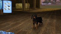 Cкриншот Sims 3: Питомцы, The, изображение № 633416 - RAWG