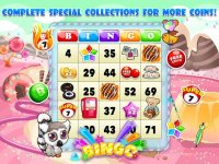 Cкриншот Bingo Bingo, изображение № 892057 - RAWG