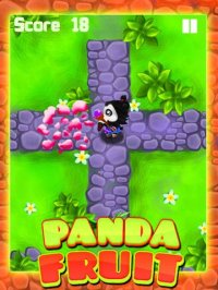 Cкриншот Ninja Panda Fruit Land, изображение № 1705224 - RAWG
