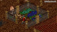 Cкриншот Ultima 8: The Lost Vale, изображение № 460742 - RAWG