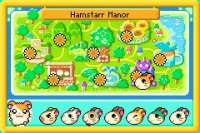 Cкриншот Hamtaro: Rainbow Rescue, изображение № 3099062 - RAWG