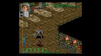 Cкриншот Retro Classix: Gate of Doom, изображение № 2731095 - RAWG