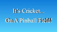 Cкриншот PinBall Cricket, изображение № 2638052 - RAWG