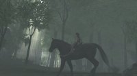 Cкриншот The ICO & Shadow of the Colossus Collection, изображение № 725493 - RAWG